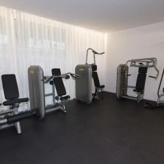Отель Donau-City Strasse 12 Apartment. Австрия, Вена - отзывы, цены и фото номеров - забронировать отель Donau-City Strasse 12 Apartment. онлайн фитнесс-зал