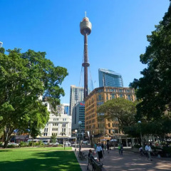 Отель Pullman Sydney Hyde Park городской автобус