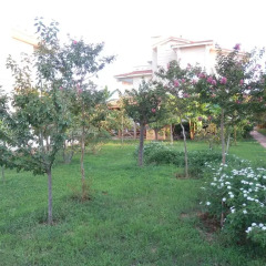 Villa Yenisey Турция, Белек - отзывы, цены и фото номеров - забронировать отель Villa Yenisey онлайн фото 3