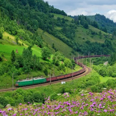 Гостиница Усадьба Рокса