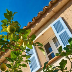 Отель Protur Residencia Son Floriana балкон