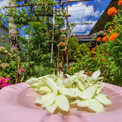 Kind & Love Hostel бассейн