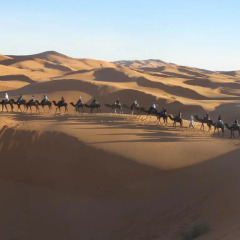 Отель Merzouga Desert Camp Марокко, Мерзуга - отзывы, цены и фото номеров - забронировать отель Merzouga Desert Camp онлайн приотельная территория