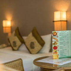 Отель The Viridian Resort 3* Номер Делюкс с двуспальной кроватью фото 12