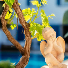 BeyEvi Hotel Чешме детские мероприятия фото 2