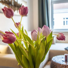 Отель Urban Flats Vienna Danube Австрия, Вена - отзывы, цены и фото номеров - забронировать отель Urban Flats Vienna Danube онлайн комната для гостей фото 2