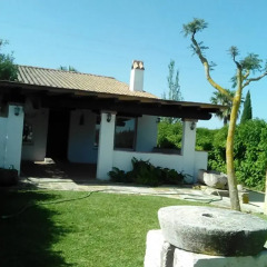 Отель El Olivar de Roche Viejo Испания, Кониль-де-ла-Фронтера - отзывы, цены и фото номеров - забронировать отель El Olivar de Roche Viejo онлайн фото 4