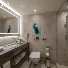 DoubleTree by Hilton Hotel Istanbul - Sirkeci 4* Номер Делюкс с различными типами кроватей фото 7