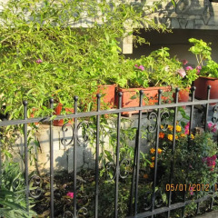 Отель Villa Vasiliki Метаморфоси приотельная территория