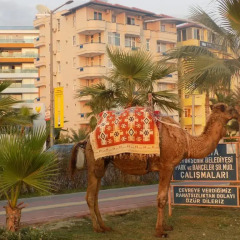 Semt Luna Beach Hotel - All Inclusive 2* Стандартный номер разные типы кроватей