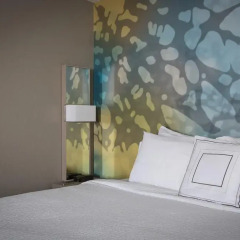 Отель Courtyard by Marriott New Orleans Downtown/Convention Center США, Новый Орлеан - отзывы, цены и фото номеров - забронировать отель Courtyard by Marriott New Orleans Downtown/Convention Center онлайн спа фото 2