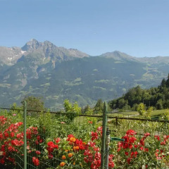 Отель Agriturismo Plan d'Avie Аоста приотельная территория