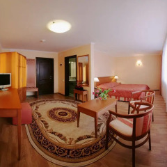 Park-Hotel Pushkin 3* Студия с различными типами кроватей