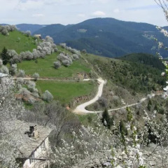 Отель Zornica Guest House Болгария, Чепеларе - отзывы, цены и фото номеров - забронировать отель Zornica Guest House онлайн приотельная территория фото 2