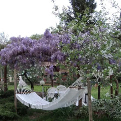 Отель B&B Locanda Della Luna Монтоне
