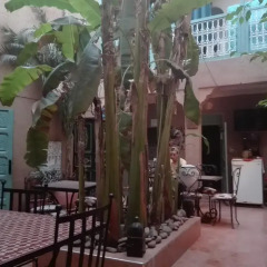Отель Dar M'chicha