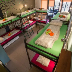 Island Hostel Adults only Кровать в общем номере фото 5