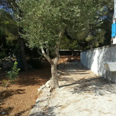 Отель Cala Luna Holiday Home Гальяно дель Капо фото 11