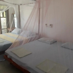 Traveller's Home Hotel 3* Бунгало с различными типами кроватей