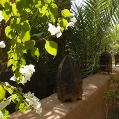 Отель Villa Zagora Ma Villa au Sahara Марокко, Загора - отзывы, цены и фото номеров - забронировать отель Villa Zagora Ma Villa au Sahara онлайн фото 4