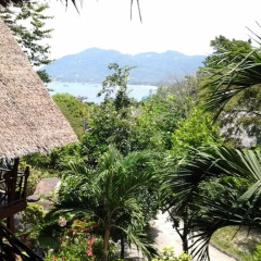 Отель Koh Tao Royal Resort 3* Бунгало Делюкс с различными типами кроватей фото 2