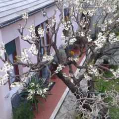 Отель Casa Tra Il Verde E Il Blu Генуя фото 7