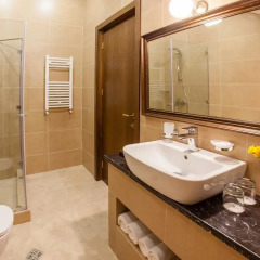 Laerton Hotel Tbilisi 4* Номер Junior с различными типами кроватей фото 7