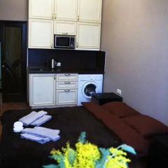Апартаменты Apartment Svetlana Апартаменты с различными типами кроватей фото 49