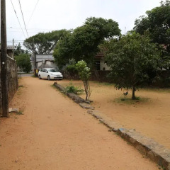 New negombo beach hostel с домашними животными