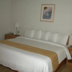 Hotel Plaza Florencia 4* Стандартный номер фото 6