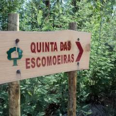 Отель Quinta Das Escomoeiras Амаранте приотельная территория фото 2