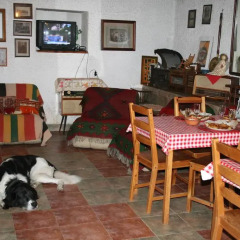 Отель Guest House Kamenik Болгария, Чепеларе - отзывы, цены и фото номеров - забронировать отель Guest House Kamenik онлайн с домашними животными