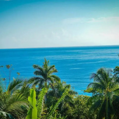 Отель Ackee Tree Sea View Villa пляж