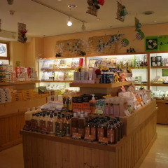 Izumigo Hotel Ambient Izukogen Ито развлечения