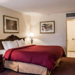 Отель Clarion Inn & Suites Clearwater 3* Стандартный номер с различными типами кроватей фото 3