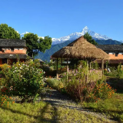 Отель Mystique Highland Resort Непал, Лехнат - отзывы, цены и фото номеров - забронировать отель Mystique Highland Resort онлайн фото 4