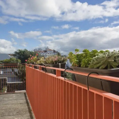 Отель Azorean Urban Lodge Португалия, Понта-Делгада - отзывы, цены и фото номеров - забронировать отель Azorean Urban Lodge онлайн балкон