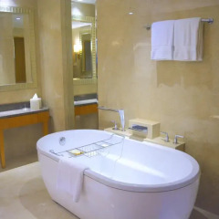 Four Seasons Hotel Mumbai 5* Представительский люкс с различными типами кроватей фото 11