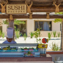 Отель Solmar Resort Кабо-Сан-Лукас гостиничный бар