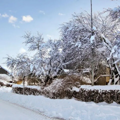 Отель Holiday home Rue du Tige фото 11