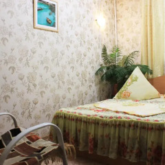 Mini-hotel Mango Номер категории Эконом фото 2