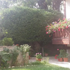 Bella Vista Family Hotel 3* Стандартный номер фото 5