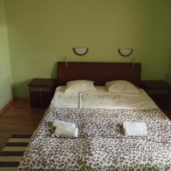 Hotel Westa 2* Номер Делюкс с различными типами кроватей фото 19