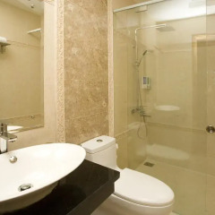 Selena Hotel Saigon 2* Номер Делюкс с различными типами кроватей фото 8