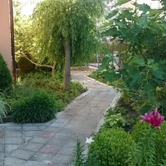 Отель 415 Hostel Болгария, Солнечный берег - отзывы, цены и фото номеров - забронировать отель 415 Hostel онлайн