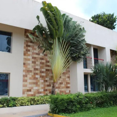 Отель Grand City Hotel Cancun Мексика, Канкун - отзывы, цены и фото номеров - забронировать отель Grand City Hotel Cancun онлайн вид на фасад фото 3