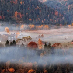 Отель Domik Zubanicha Волосянка фото 2