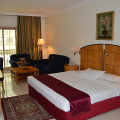 Отель Dolphin Hotel Apartments ОАЭ, Дубай - отзывы, цены и фото номеров - забронировать отель Dolphin Hotel Apartments онлайн комната для гостей фото 3