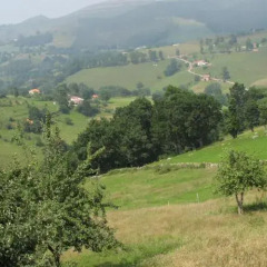 Отель Apartamento Rural en Plena Naturaleza Испания, Риотуэрто - отзывы, цены и фото номеров - забронировать отель Apartamento Rural en Plena Naturaleza онлайн фото 6