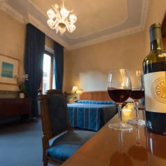 Strozzi Palace Hotel 4* Полулюкс с различными типами кроватей